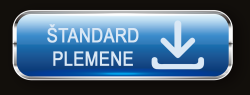 button.png