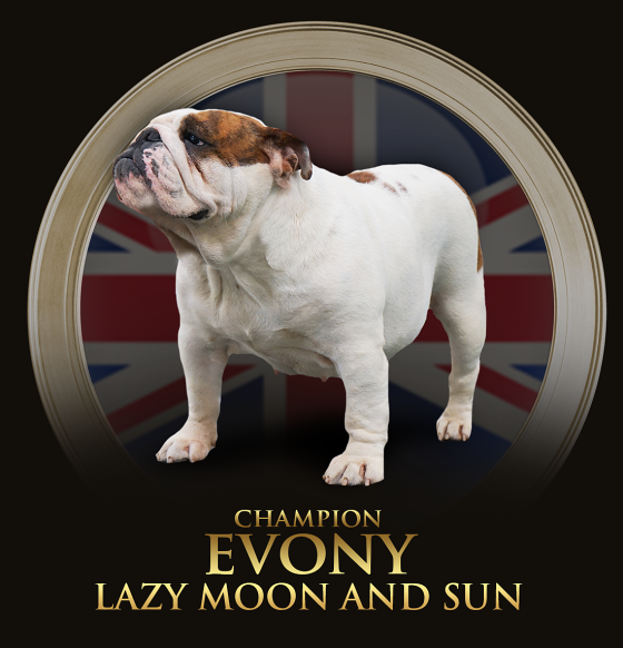 evony.png
