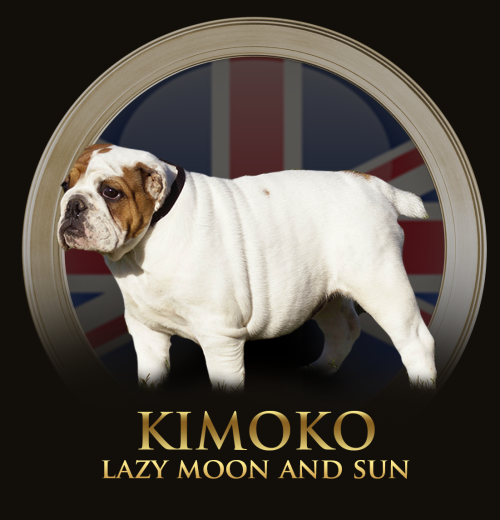 kimi.png
