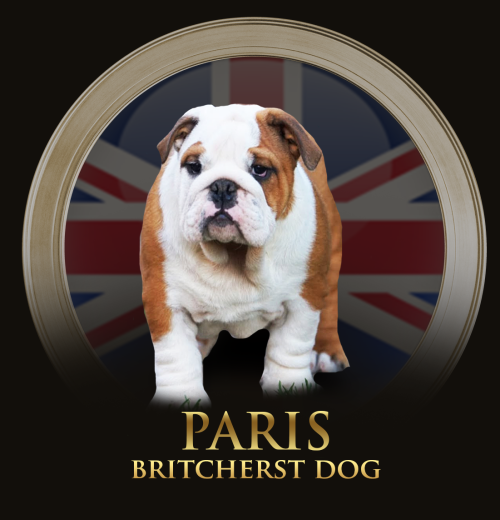 paris.png